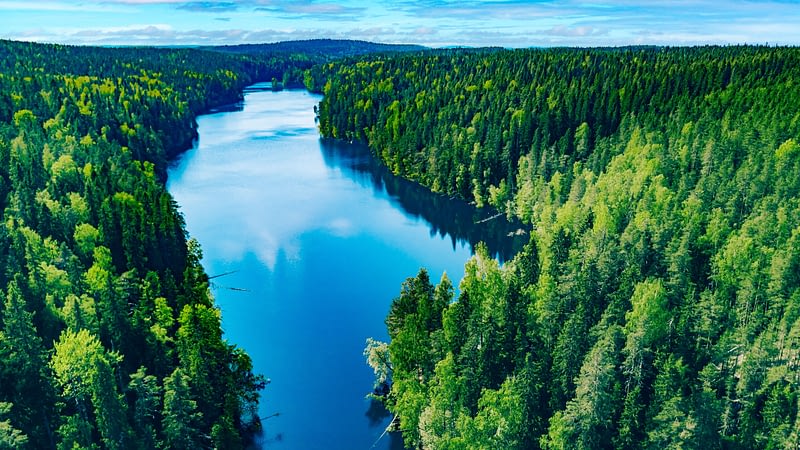 Järvimaisema