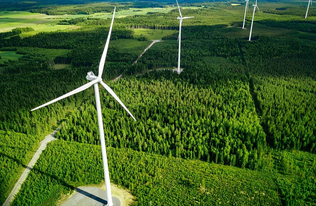 Wind turbines in a forest landscape