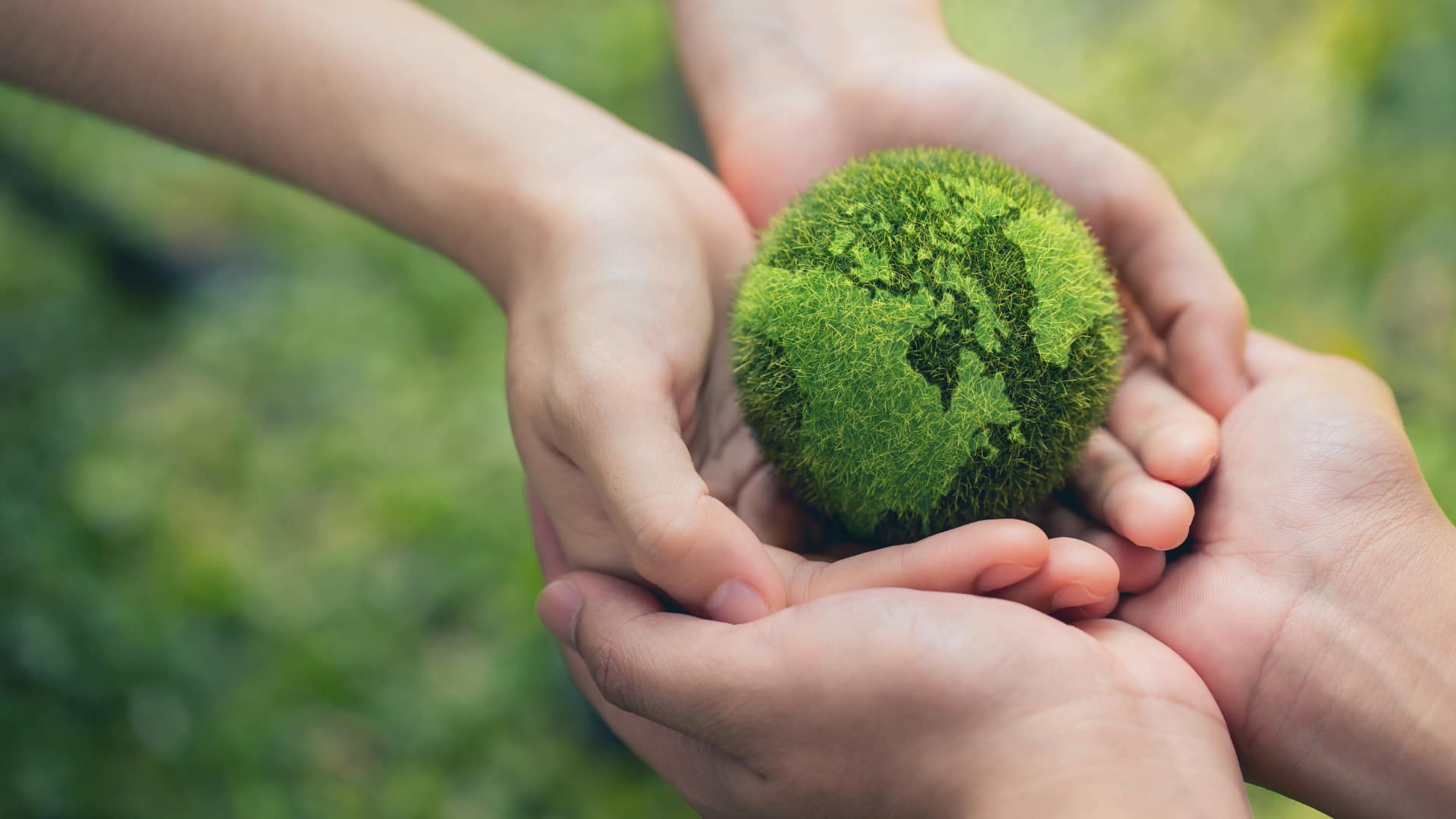 Hands holding a moss-covered globe