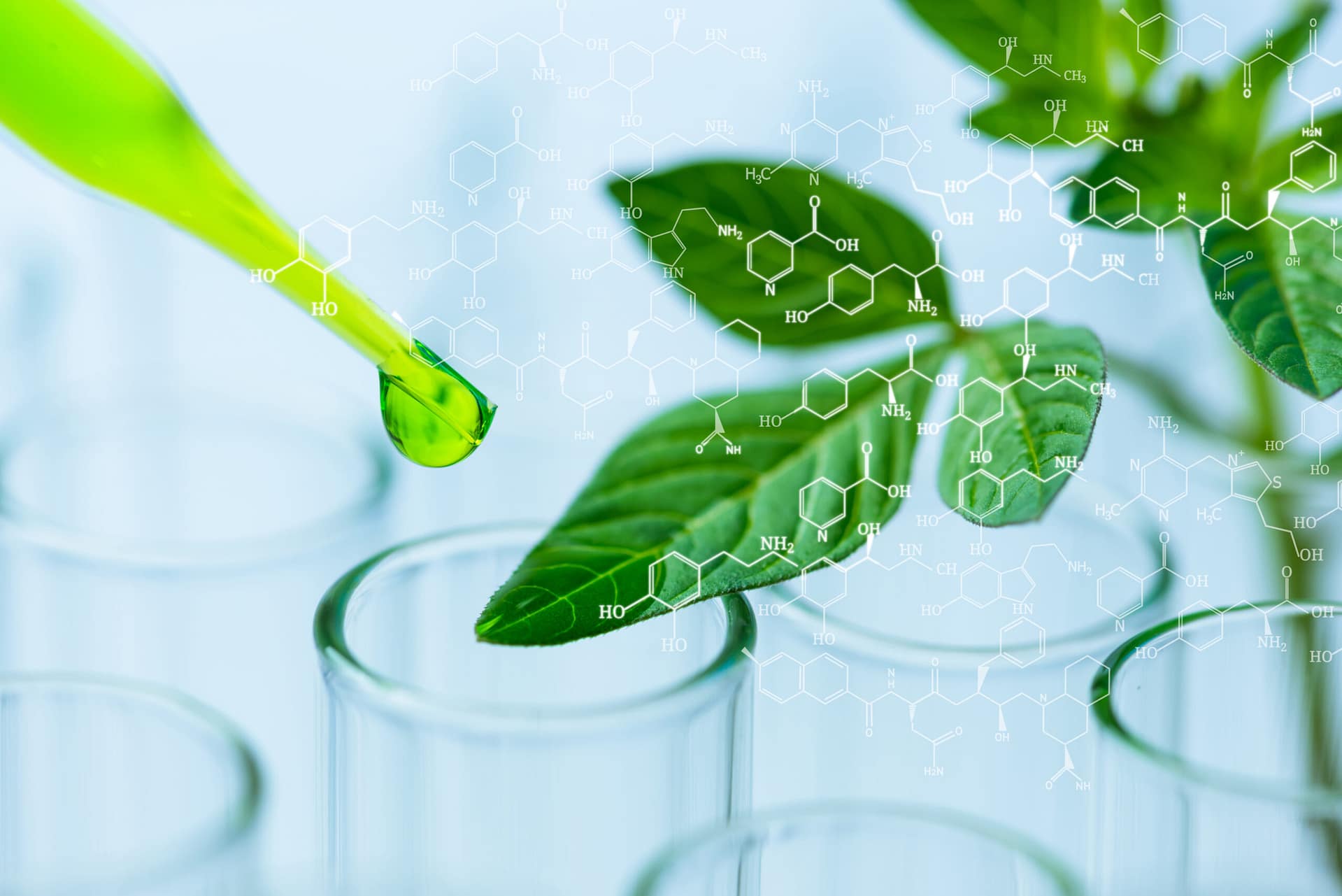 Laboratory pipette above a leaf sample